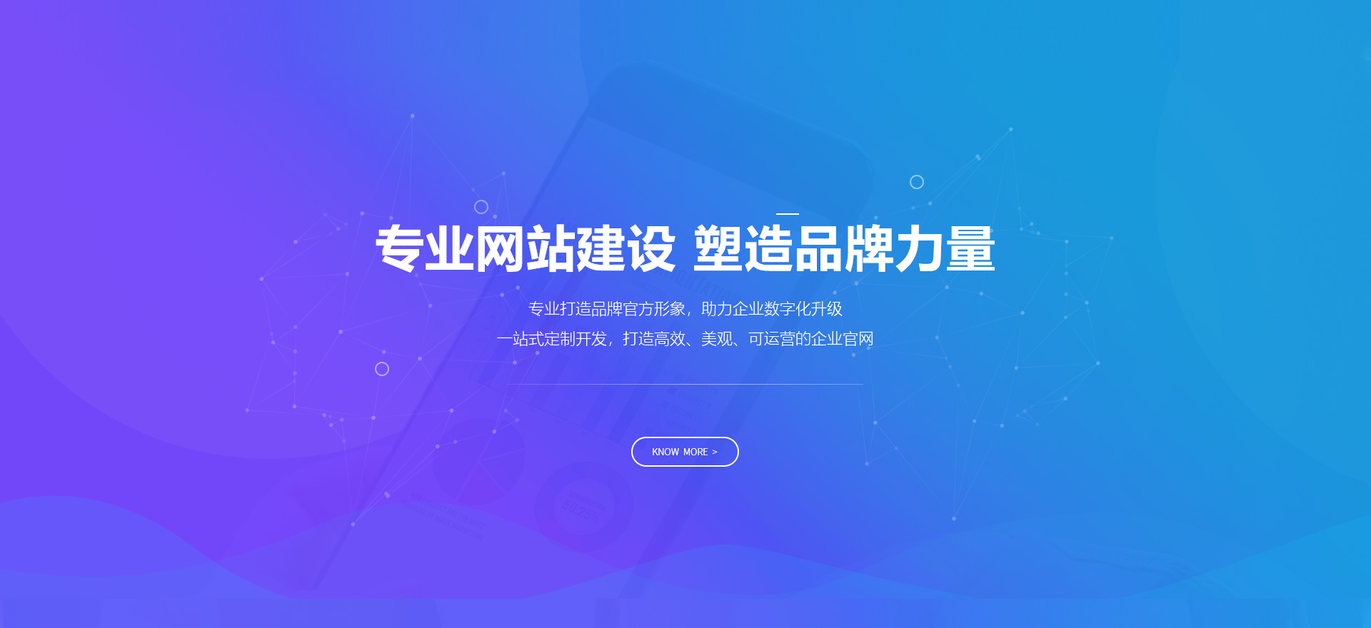 凉山建站-专业网站建设 塑造品牌力量