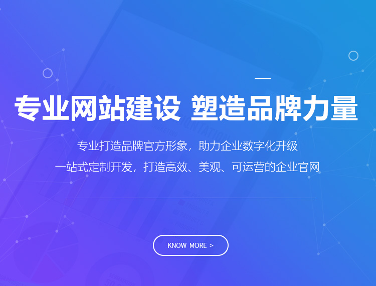 凉山建站-专业网站建设 塑造品牌力量